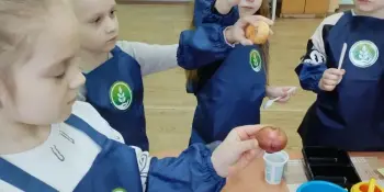 Огород на подоконнике
