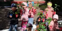 Есть у нас огород...