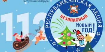 Безопасный Новый год