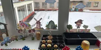 Огород на окошке