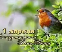 Международный день птиц