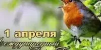Международный день птиц