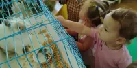 Уроки доброты