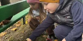Удивительная находка на прогулке